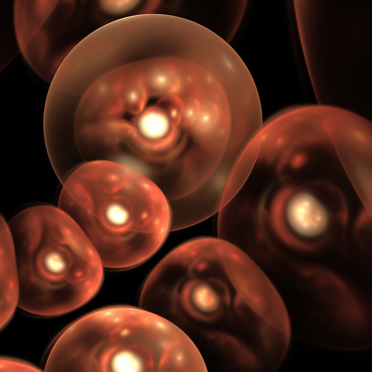 最先端の美容エステには幹細胞が利用されている
