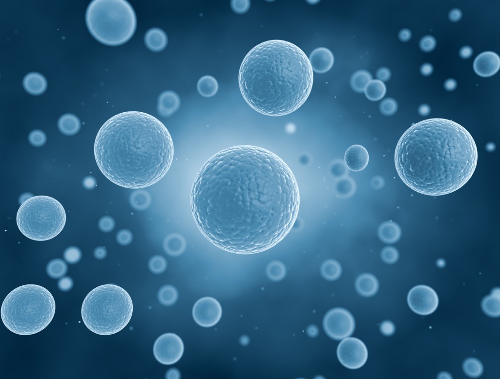 ヒト幹細胞が美容成分として配合されている化粧水